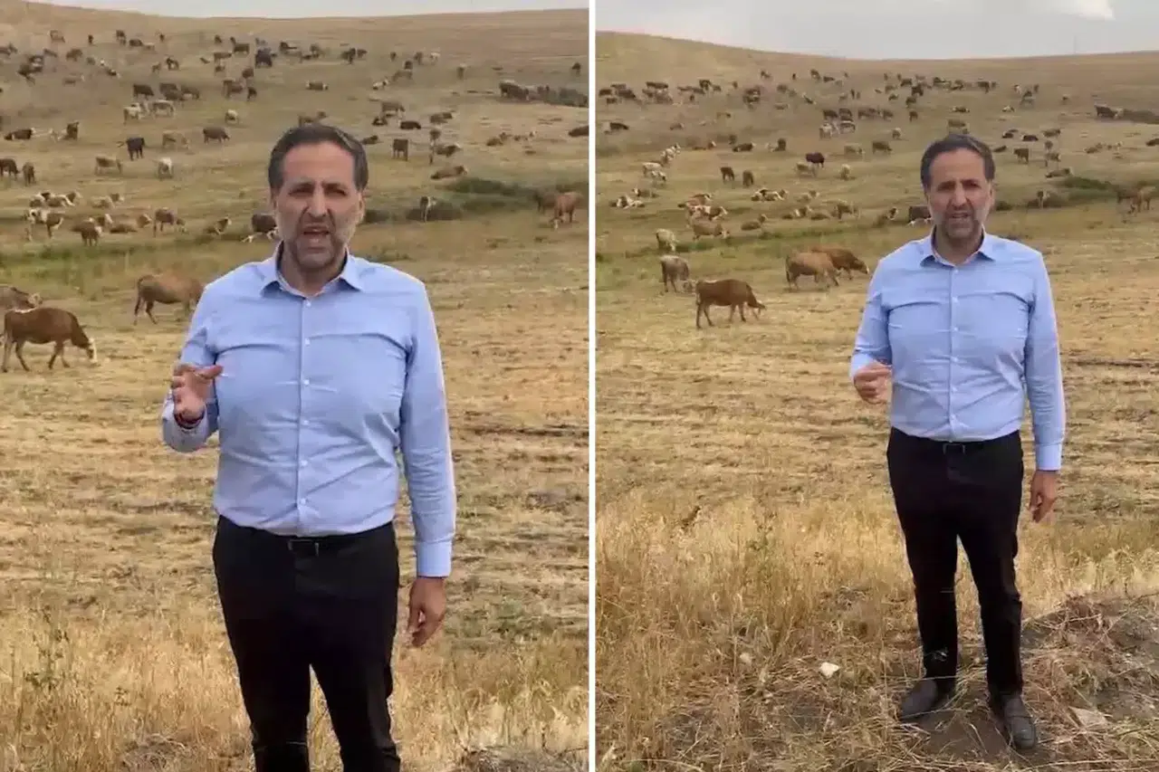 Hayvanları arkasına alıp bakana seslendi