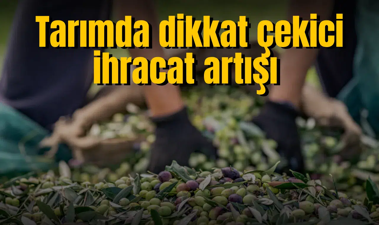 Tarımda dikkat çekici ihracat artışı