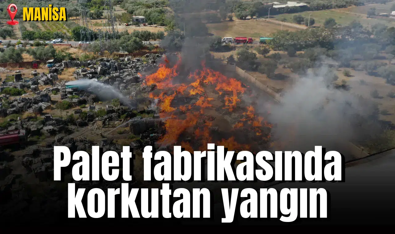 Palet fabrikasında korkutan yangın