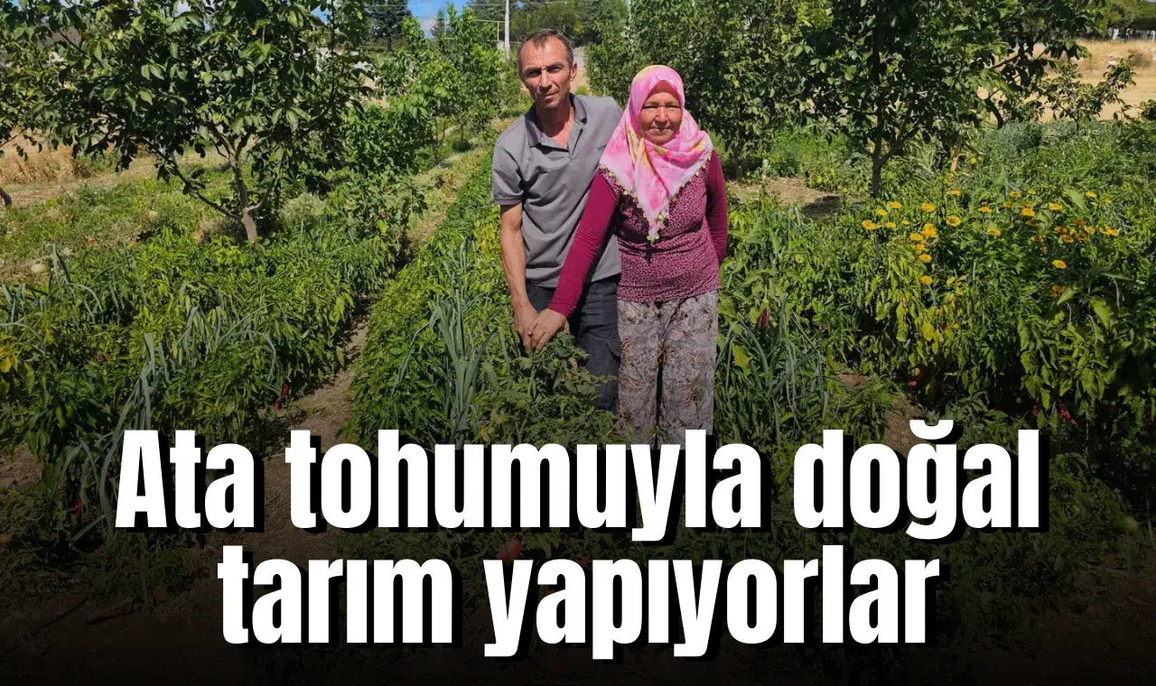 Ata tohumuyla doğal tarım yapıyorlar