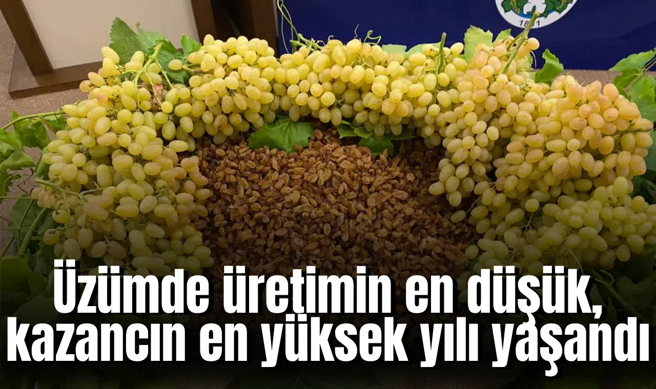 Üzümde üretimin en düşük, kazancın en yüksek yılı yaşandı