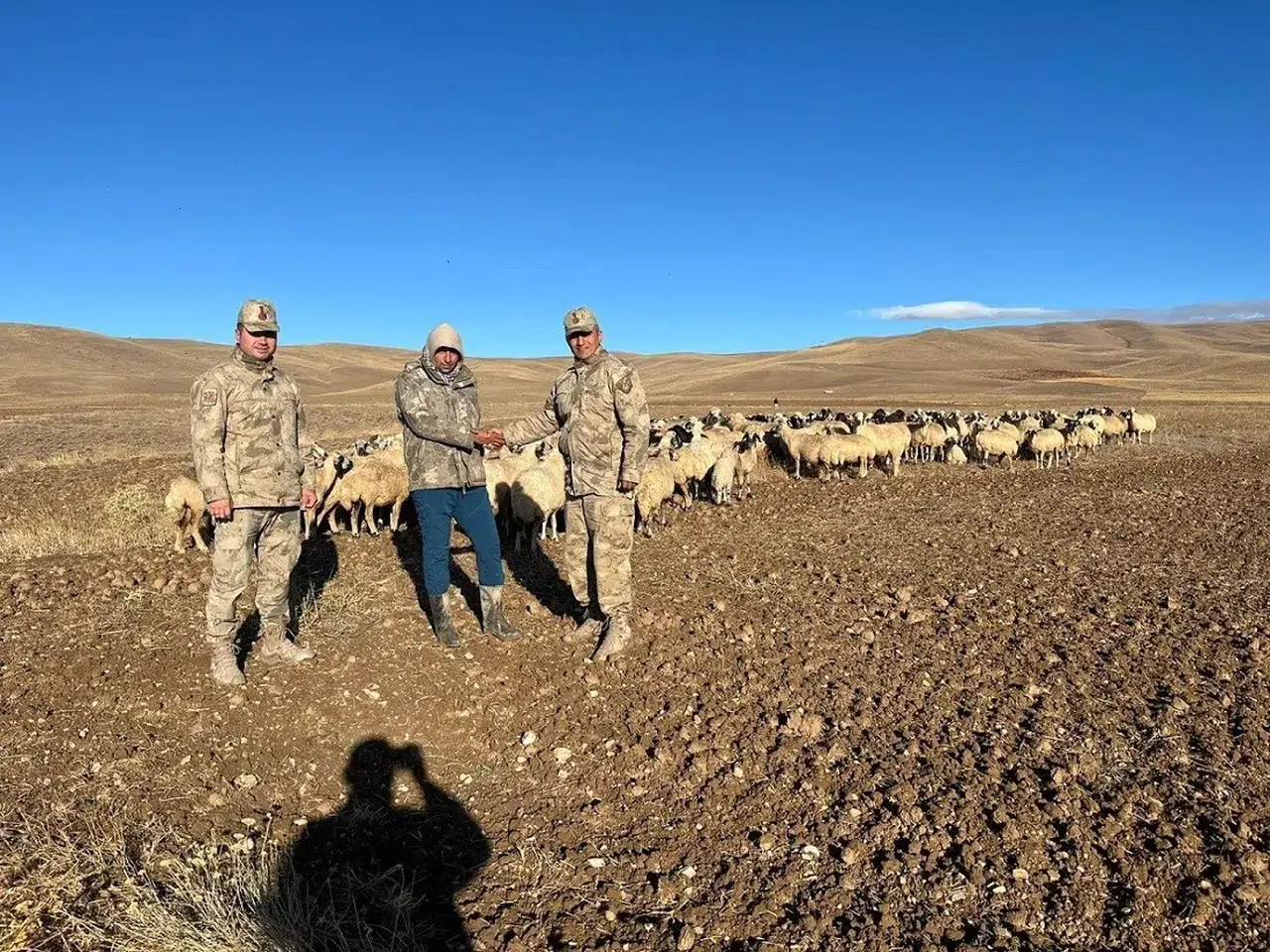 Kaybolan hayvanlar jandarma tarafından bulundu