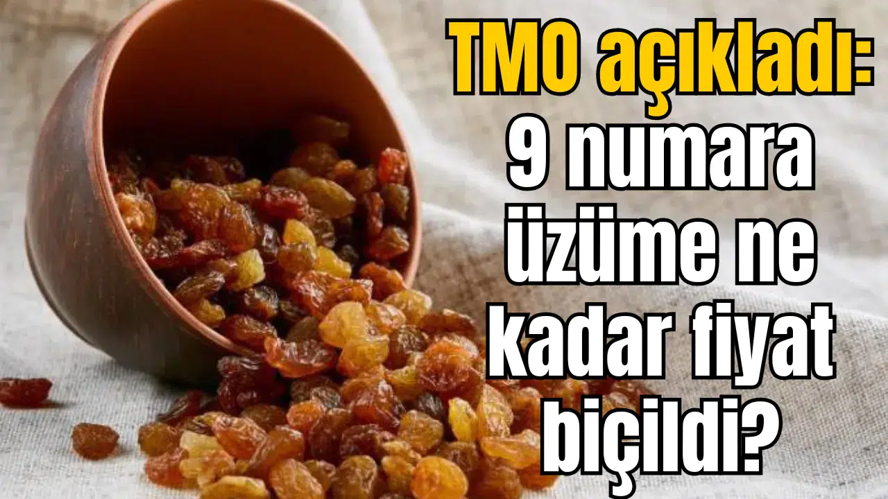 TMO 9 numara üzüm alım fiyatını açıkladı
