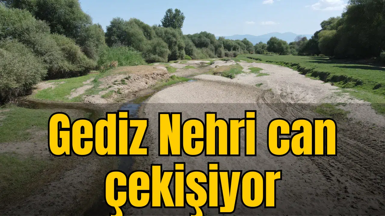 Gediz Nehri can çekişiyor