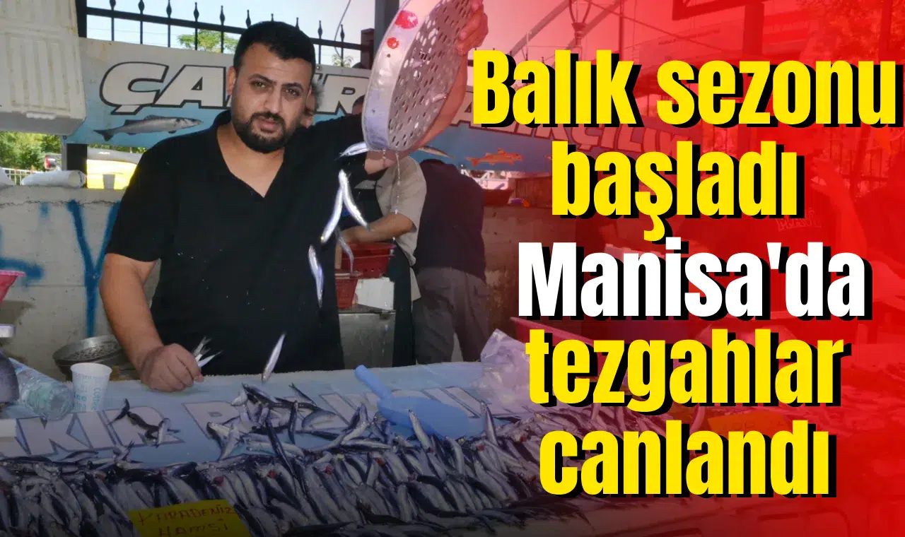 Balık sezonu başladı Manisa'da tezgahlar canlandı