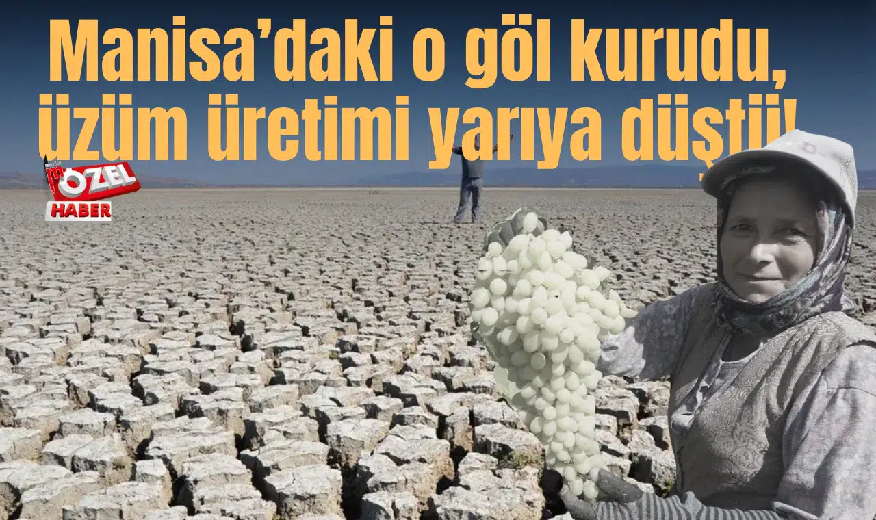 Manisa’daki o göl kurudu, üzüm üretimi yarıya düştü!