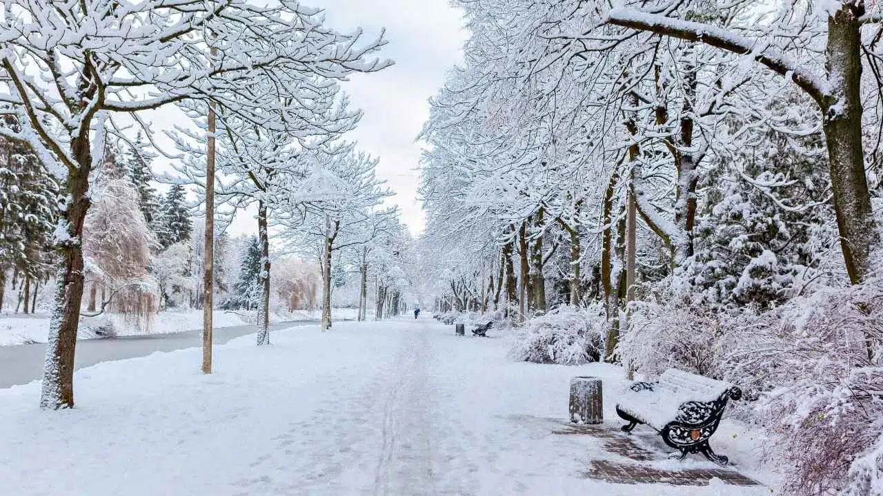 Meteoroloji uzmanı il il açıkladı! Kar yağışı geliyor
