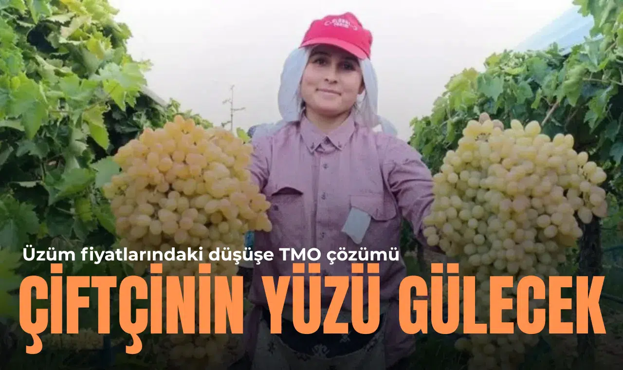 Üzüm fiyatlarındaki düşüşe TMO çözümü