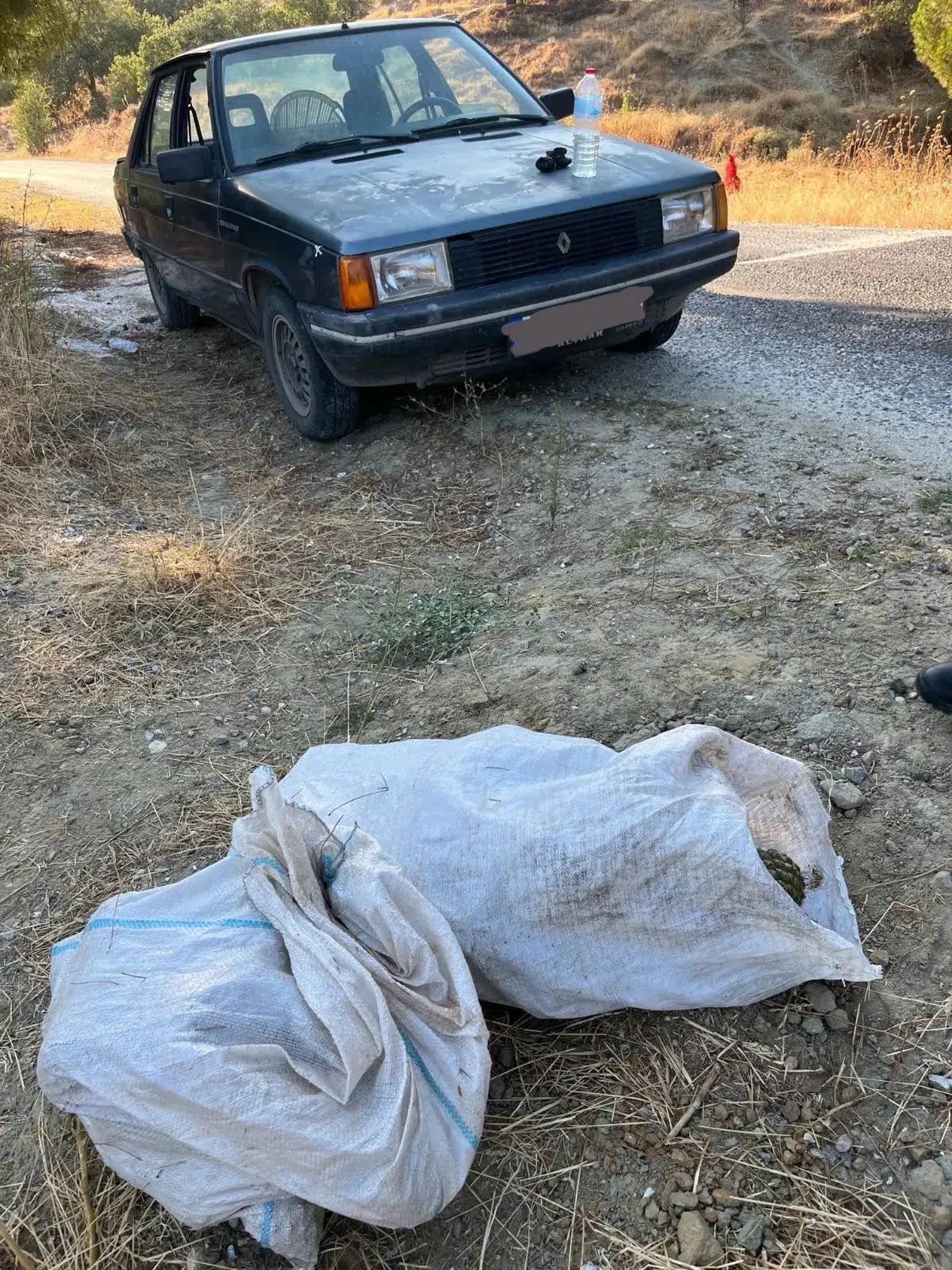 Manisa’da çam fıstığı hırsızlığı