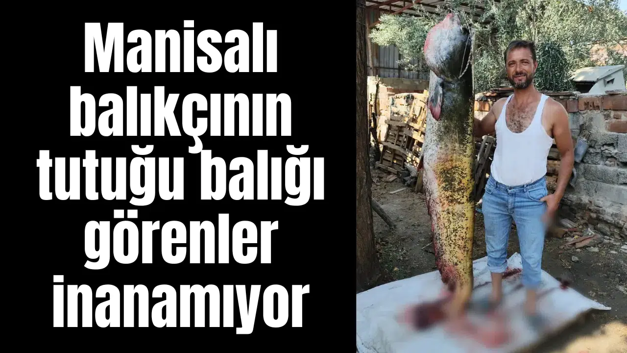 Manisalı balıkçının tutuğu balığı görenler inanamıyor