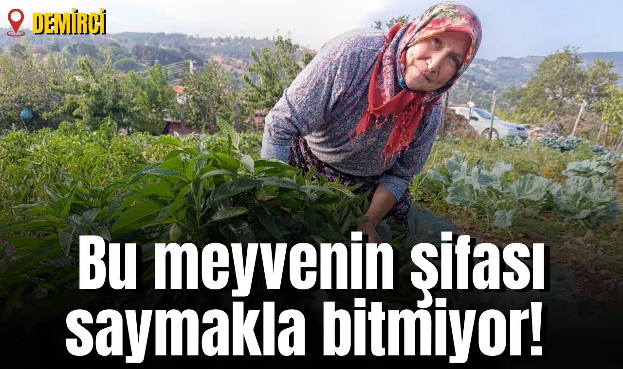 Bu meyvenin şifası saymakla bitmiyor!