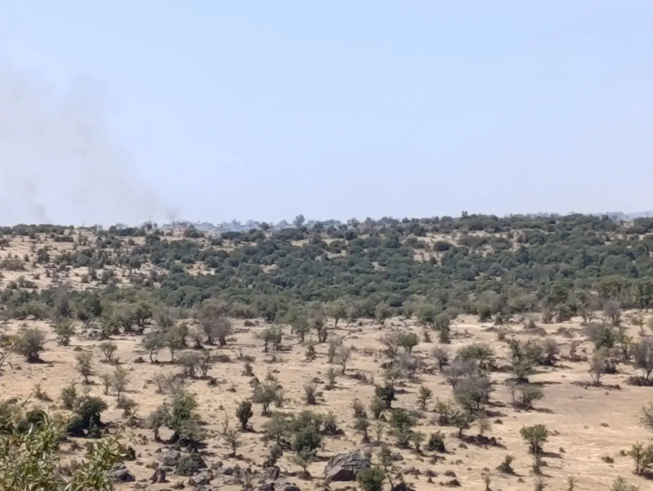 Makilik alanda çıkan yangın paniğe yol açtı
