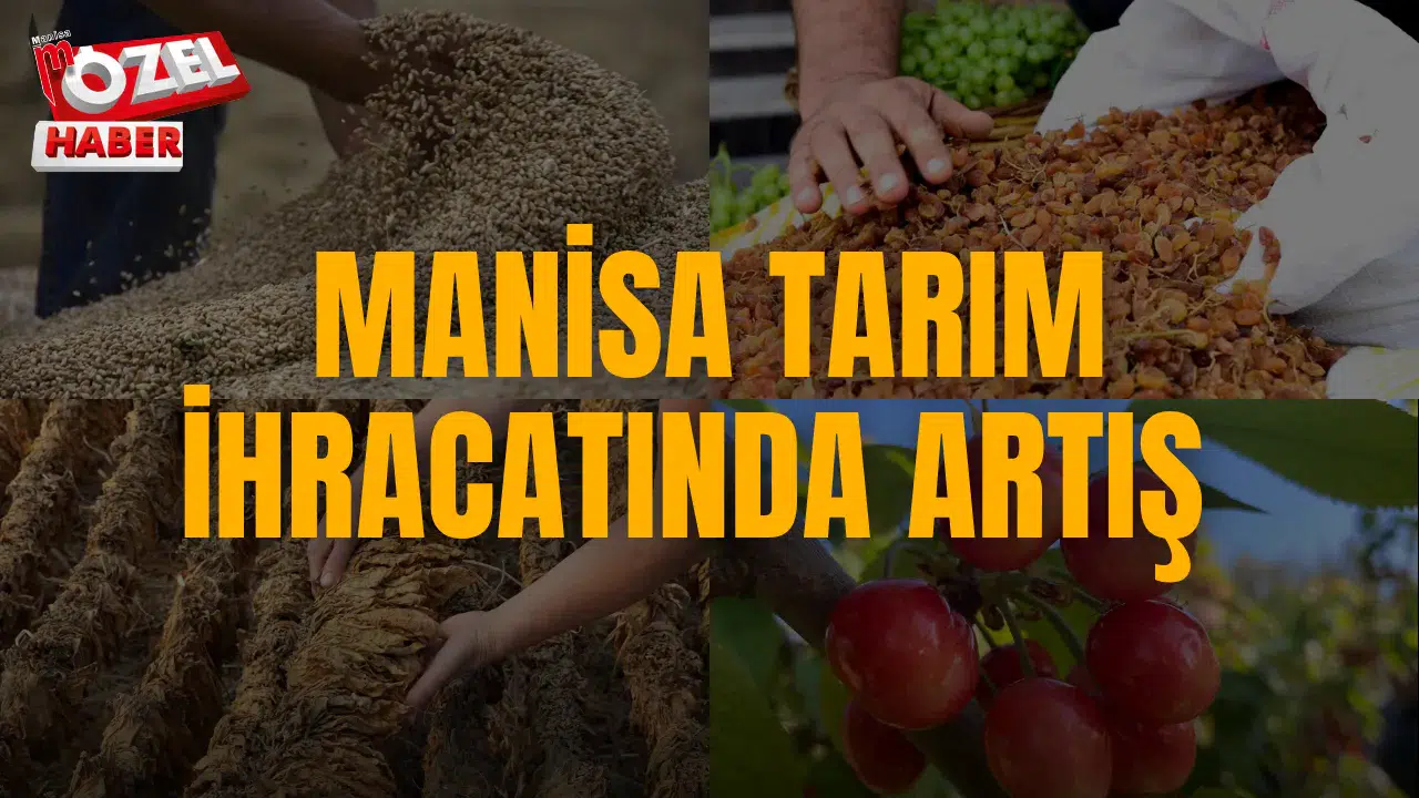 MANİSA TARIM İHRACATINDA ARTIŞ
