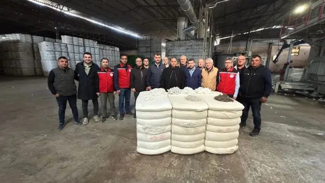 Pamukta dekar başına verim ortalaması artacak