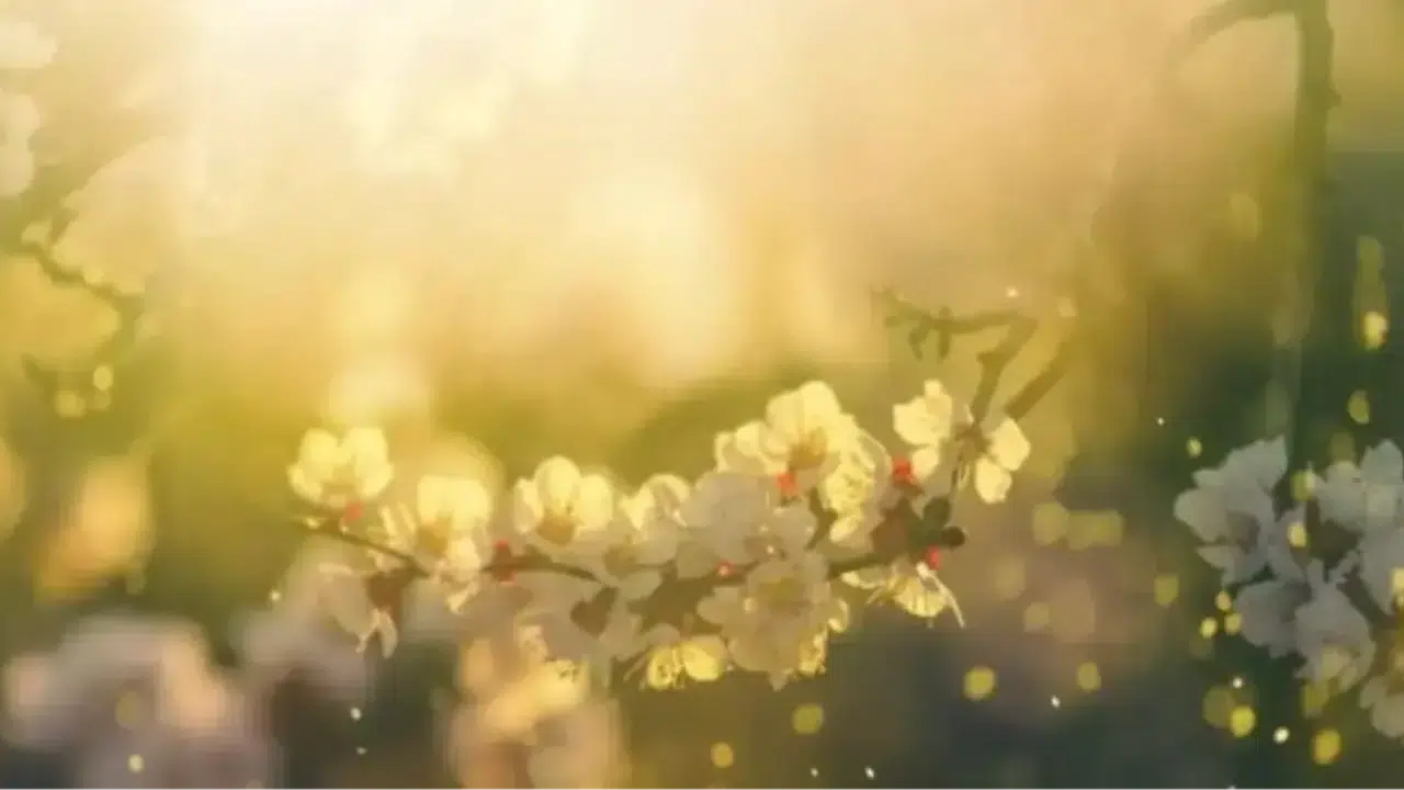 2026 Cemre Takvimi Belli Oldu: İlk Cemre Ne Zaman Düşecek, Havalar Ne Zaman Isınacak?