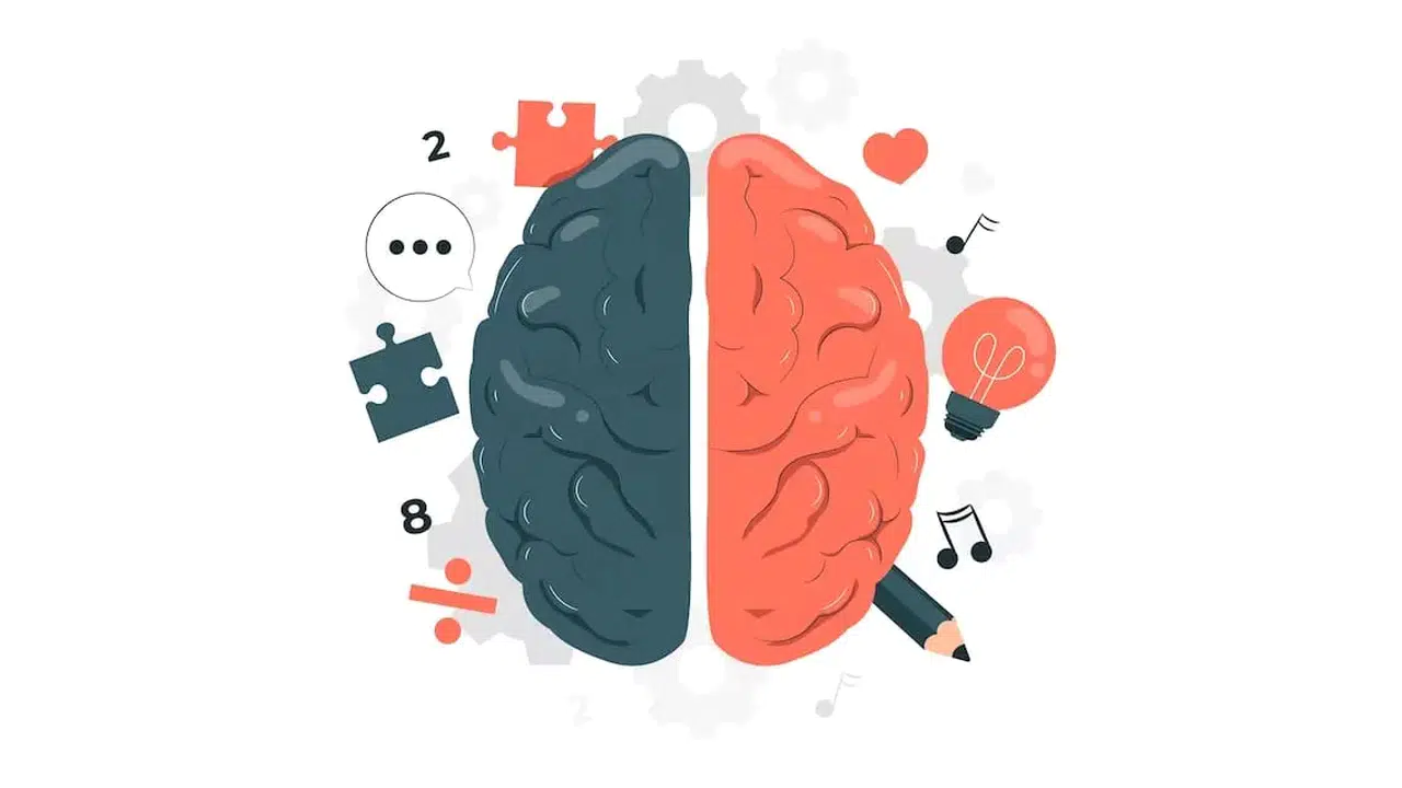 Zekâ Ligi Açıklandı! Dünya Sıralamasında Türkiye’nin Yeri Şaşırttı