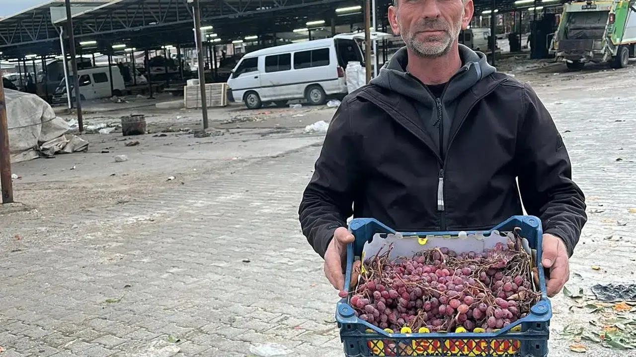 Manisa'da üzüm sezonu yeni yılda sona erdi