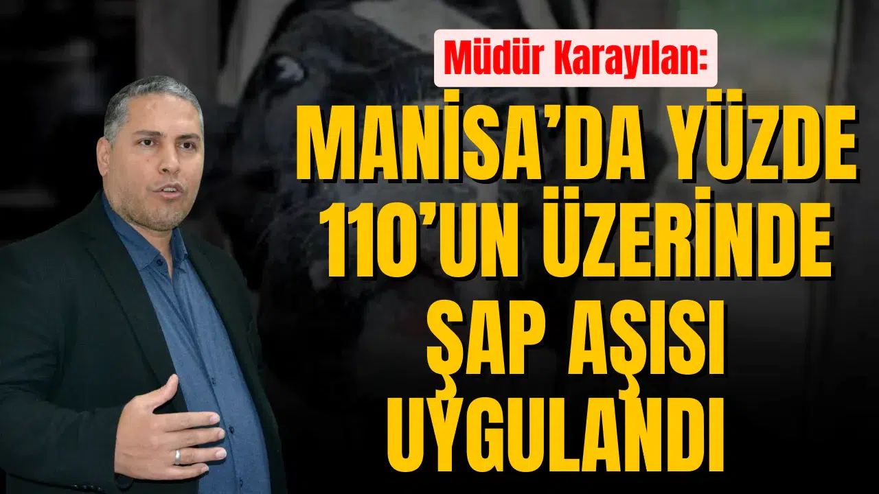 MANİSA’DA YÜZDE 110’UN ÜZERİNDE ŞAP AŞISI UYGULANDI