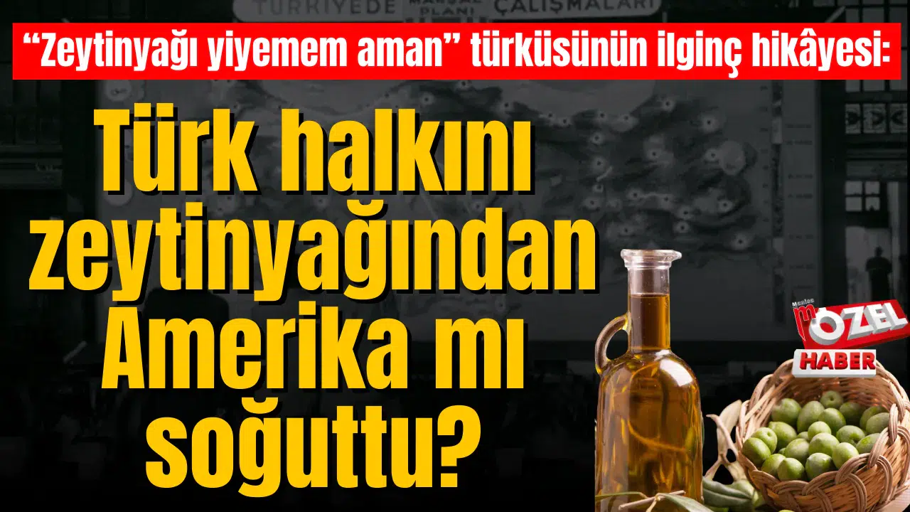 “Zeytinyağı yiyemem aman” türküsünün ilginç hikâyesi: Türk halkını zeytinyağından Amerika mı soğuttu?