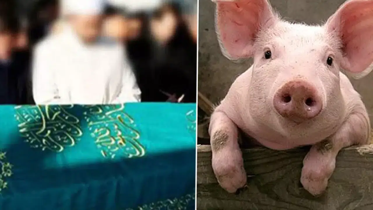 Babamın hayrına  deyip cami önünde 3 bin kişiye domuz eti yedirmiş!