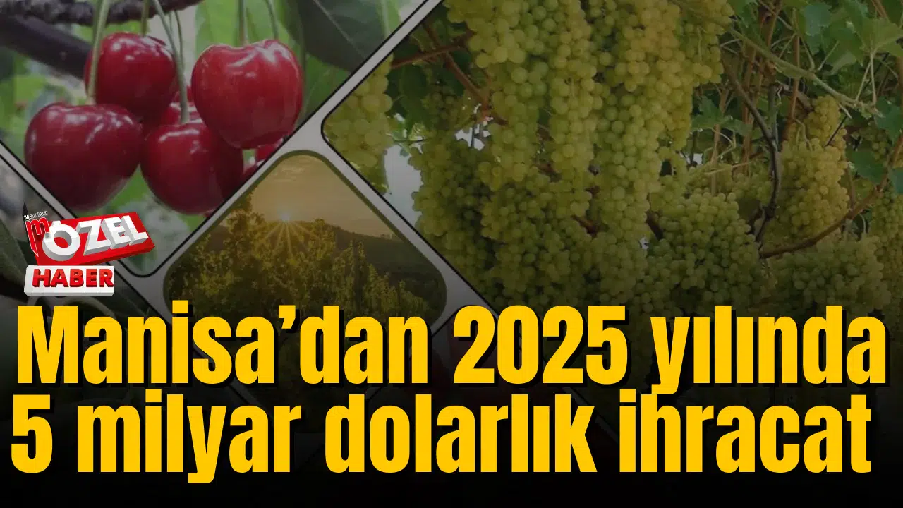 Manisa’dan 2025 yılında 5 milyar 101 milyon dolarlık ihracat