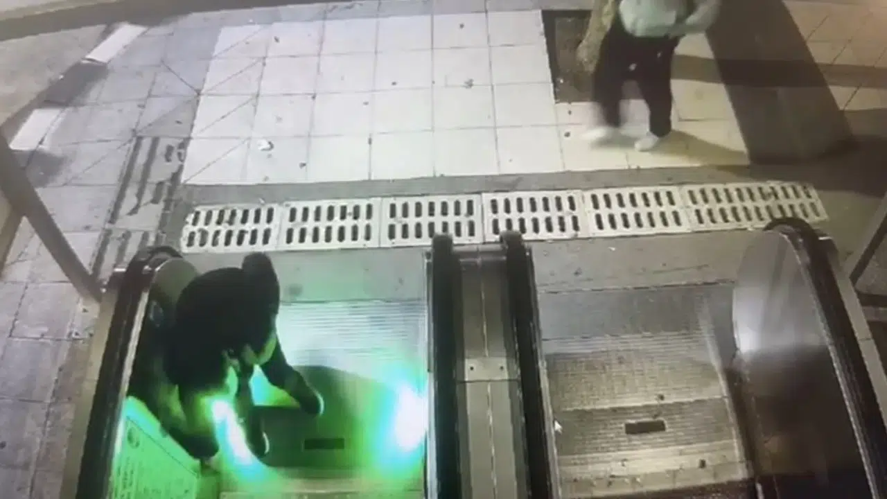 Yine o üst geçit yine magandalar!