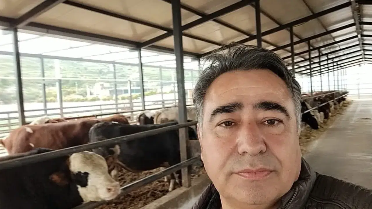 Ziraat mühendisi Özkaya: Buzağılara sahip çıkarsak ithal besiciliğe ihtiyaç olmaz