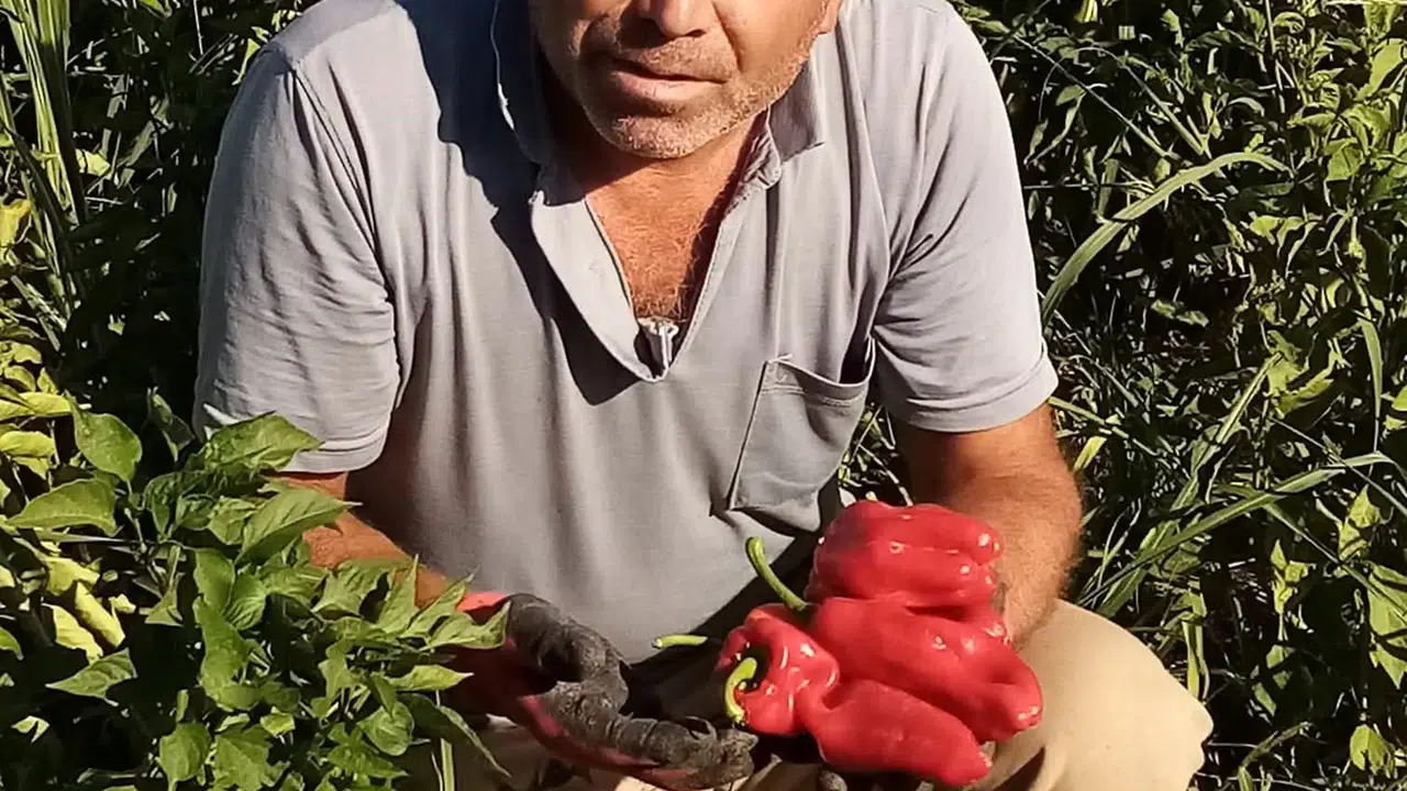 Asansör faciası: Boşluğa düşen servis şoförü hayatını kaybetti