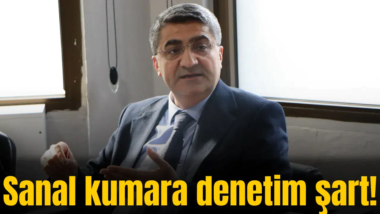 Sanal kumara denetim şart!