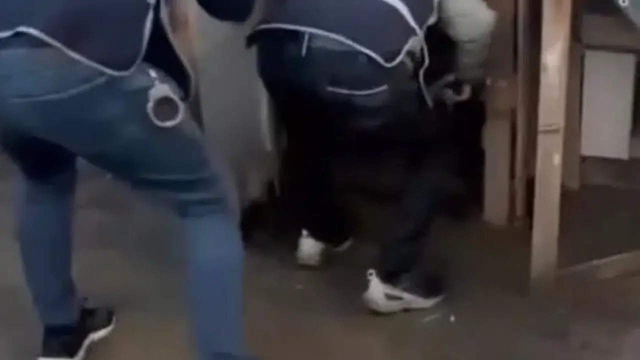 Kümesten gelen sesle yakalandı!