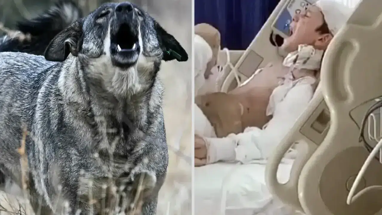 üÇ KURUM TUHANAN'IN AİLESİNE 5 MİLYON TL MANEVİ TAZMİNAT ÖDENECEK