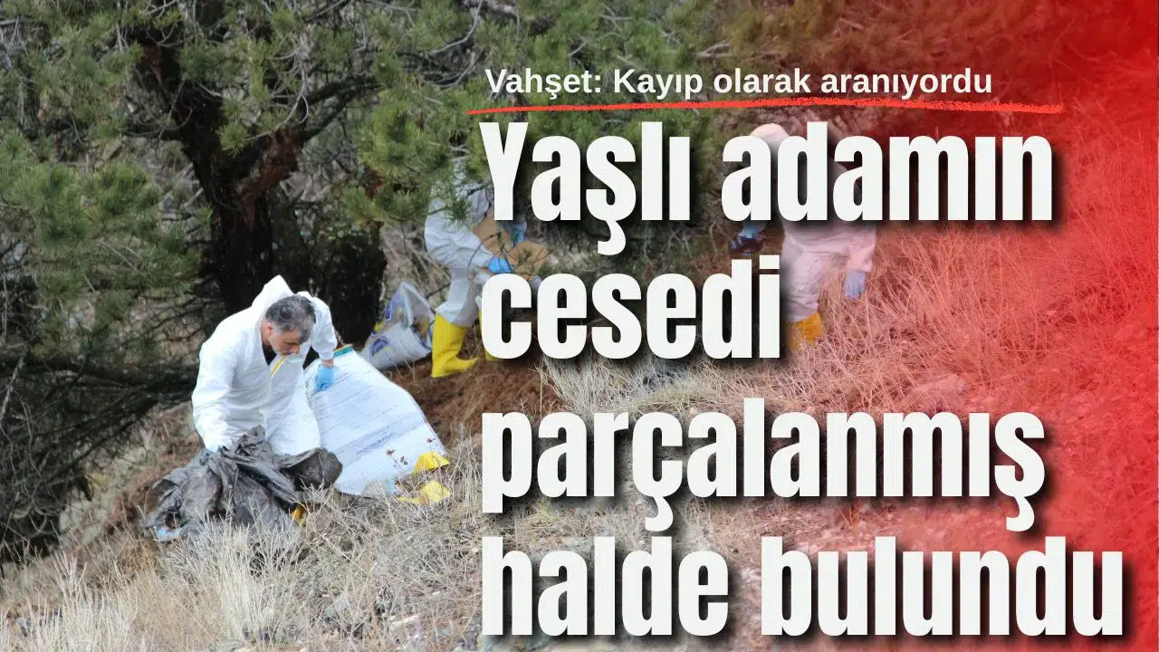 Vahşet: Yaşlı adamın cesedi parçalanmış halde bulundu