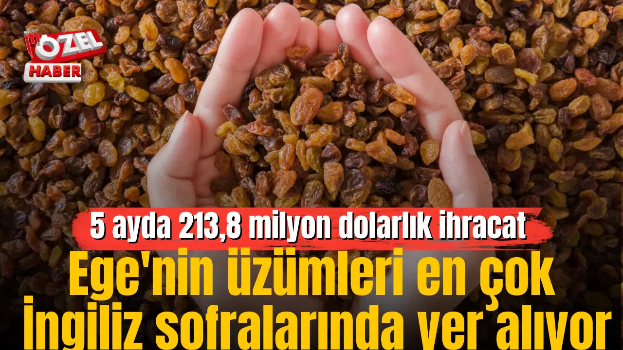 Ege'nin üzümleri en çok İngiliz sofralarında yer alıyor