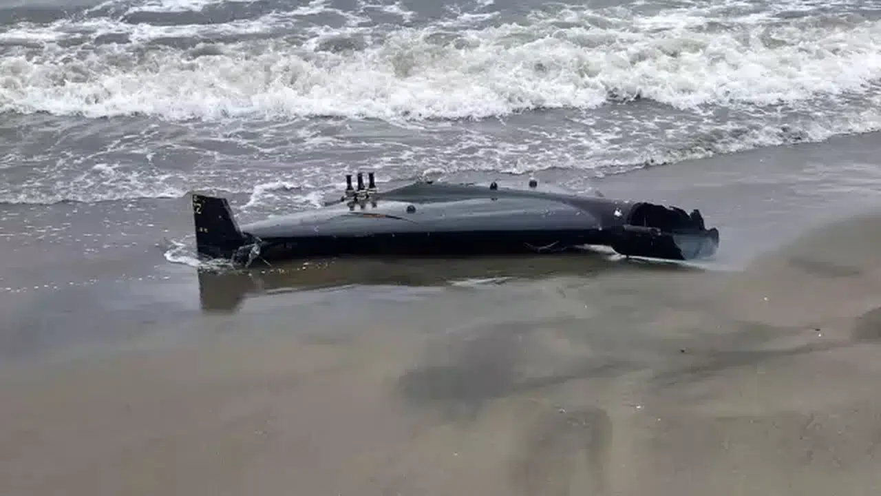 Ordu'da denizden çıkan herkesi şok etti