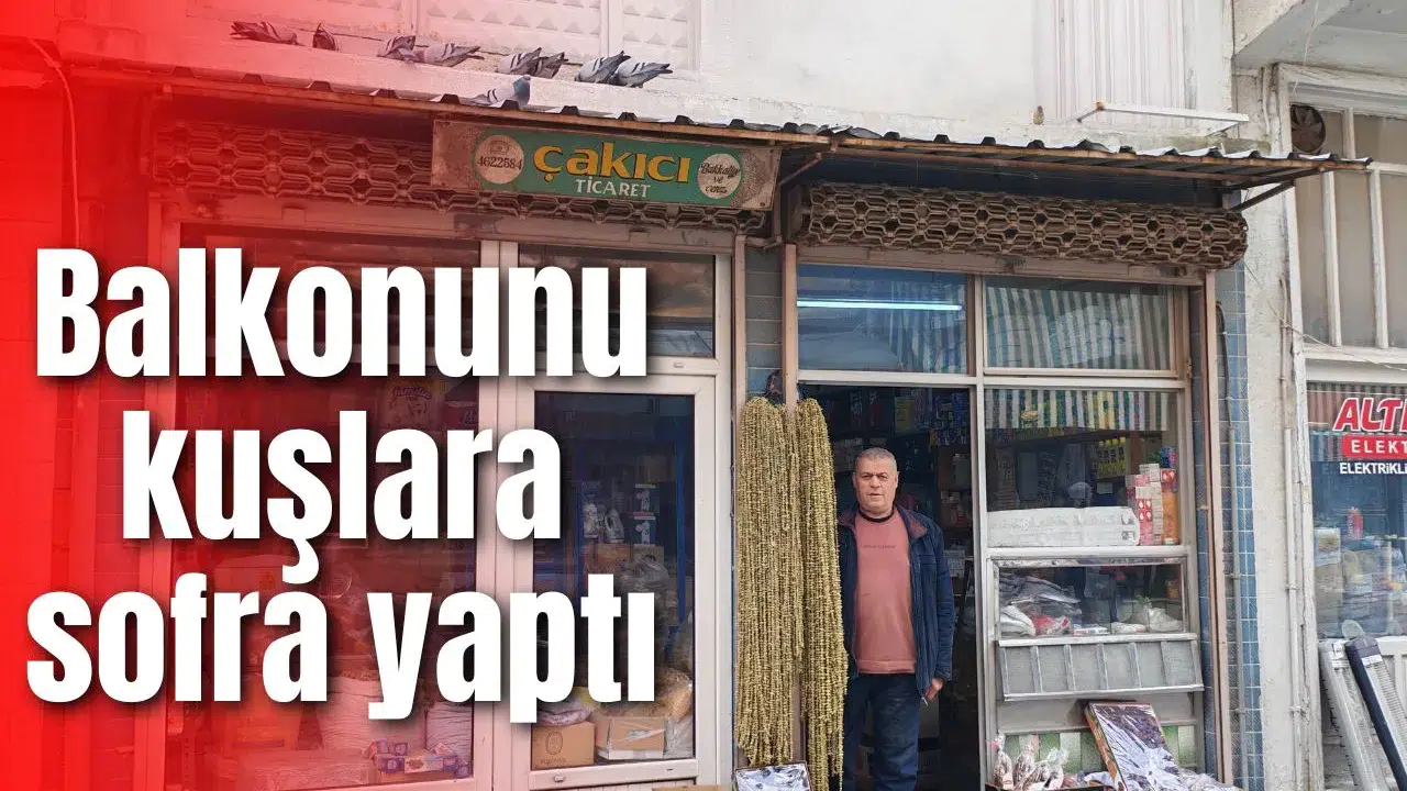 Balkonunu kuşlara sofra yaptı