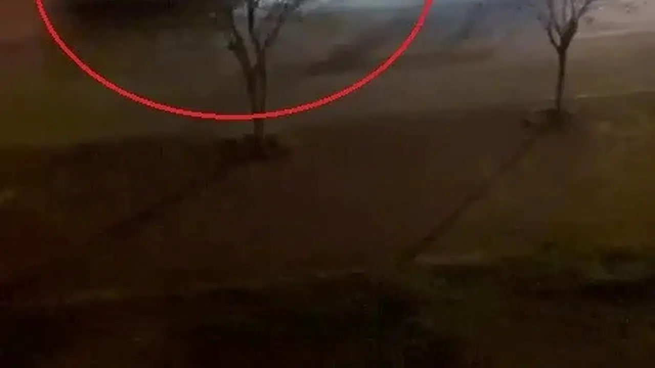 Yerde bayın yatan beden eğitimi öğretmeninin üzerinden araç geçti