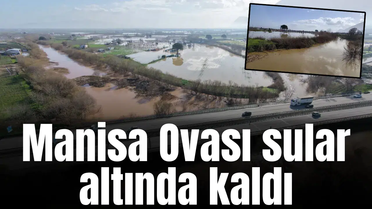 Manisa Ovası sular altında kaldı
