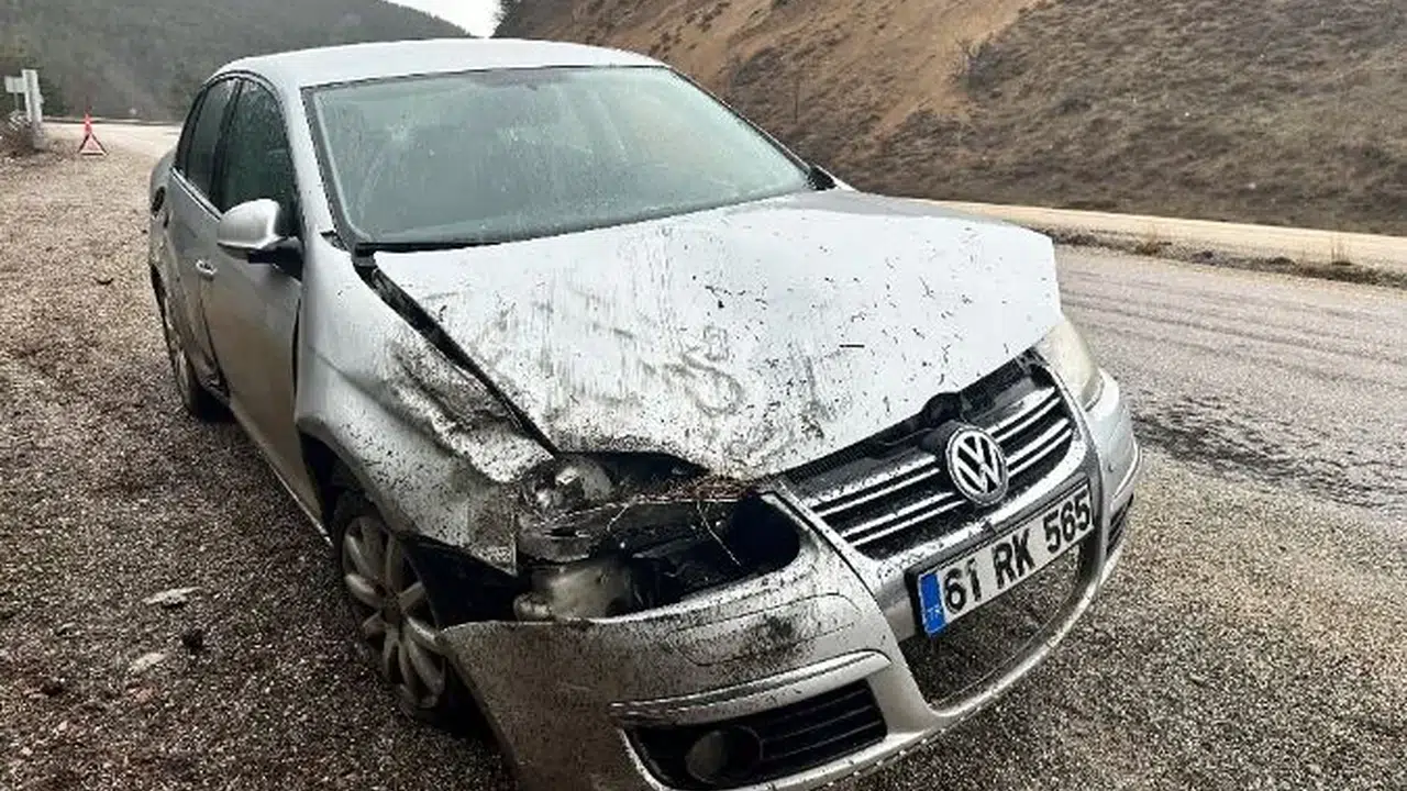 Kayağa giderken ölümden döndüler