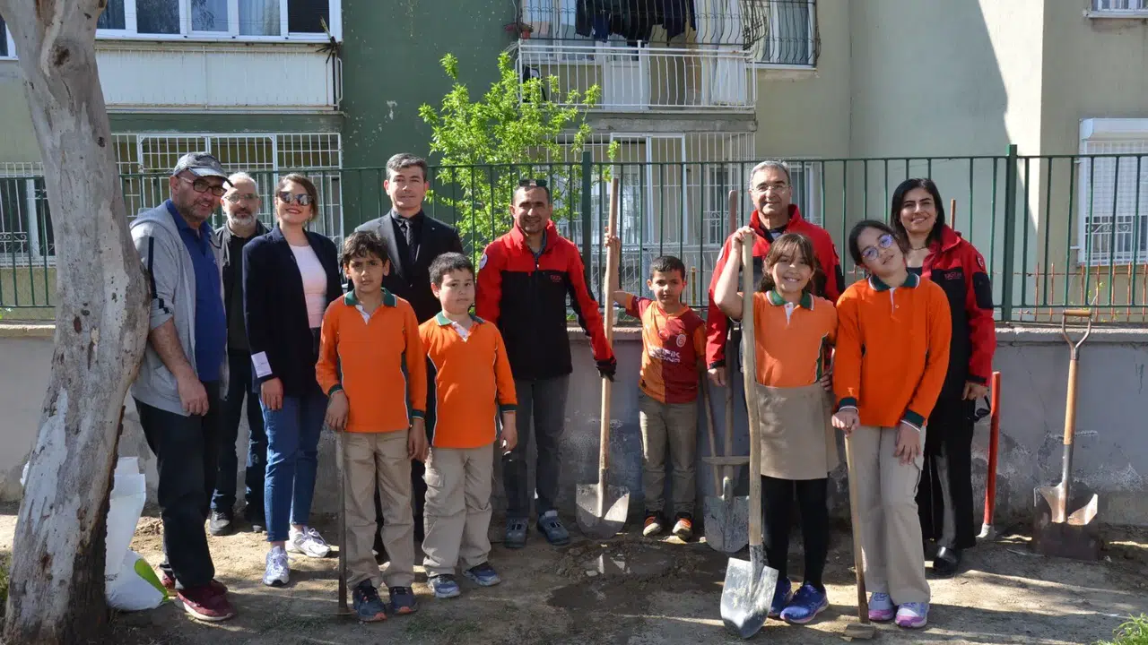 Manisa'da ilk kez okul bahçelerine asma dikildi