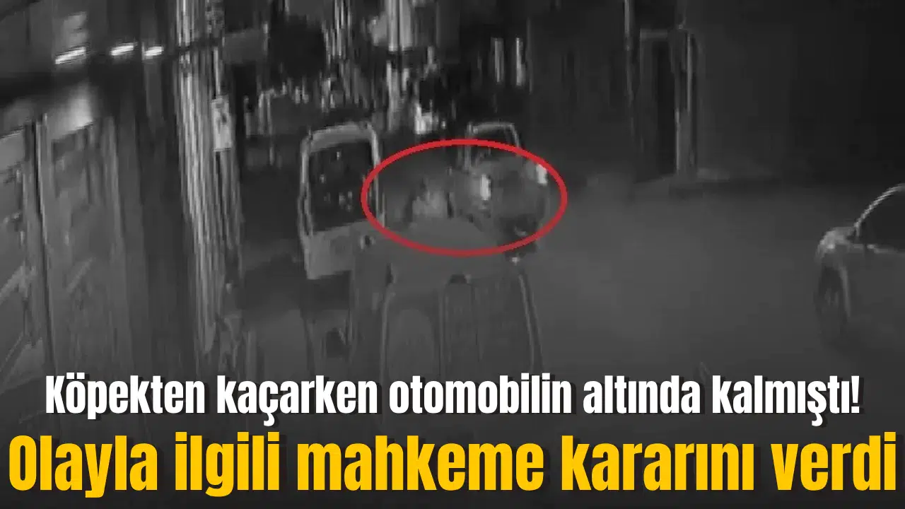 Köpekten kaçarken otomobilin altında kalmıştı! Olayla ilgili mahkeme kararını verdi
