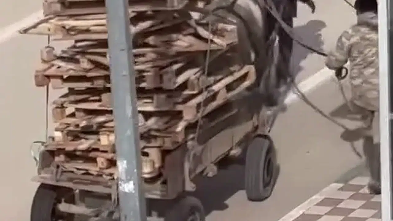 Gören herkes  pes  dedi