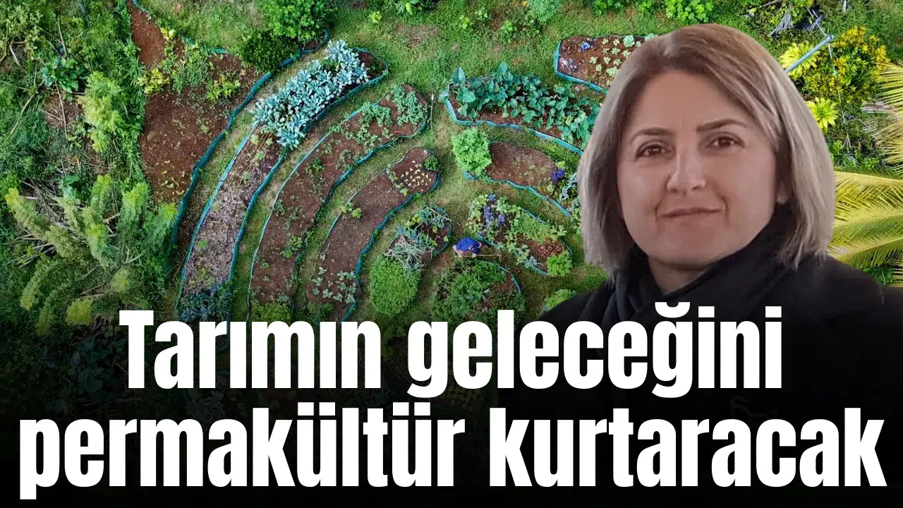 Tarımın geleceğini permakültür kurtaracak