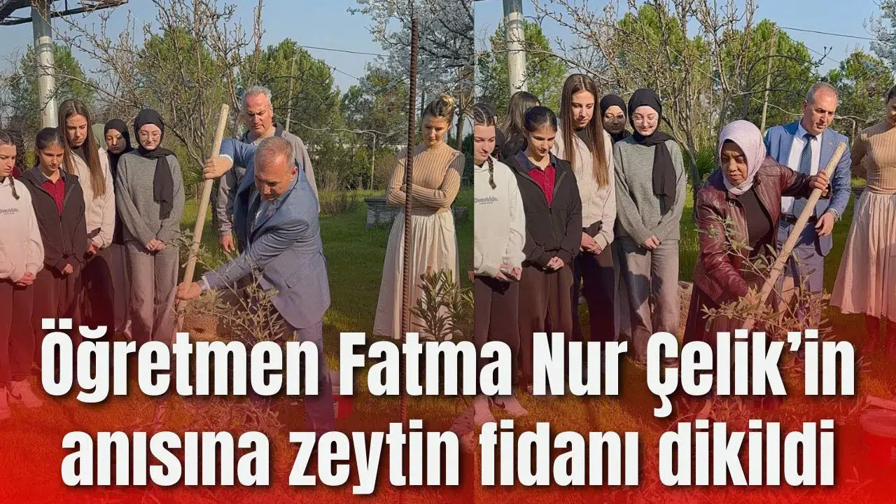Öğretmen Fatma Nur Çelik’in anısına zeytin fidanı dikildi