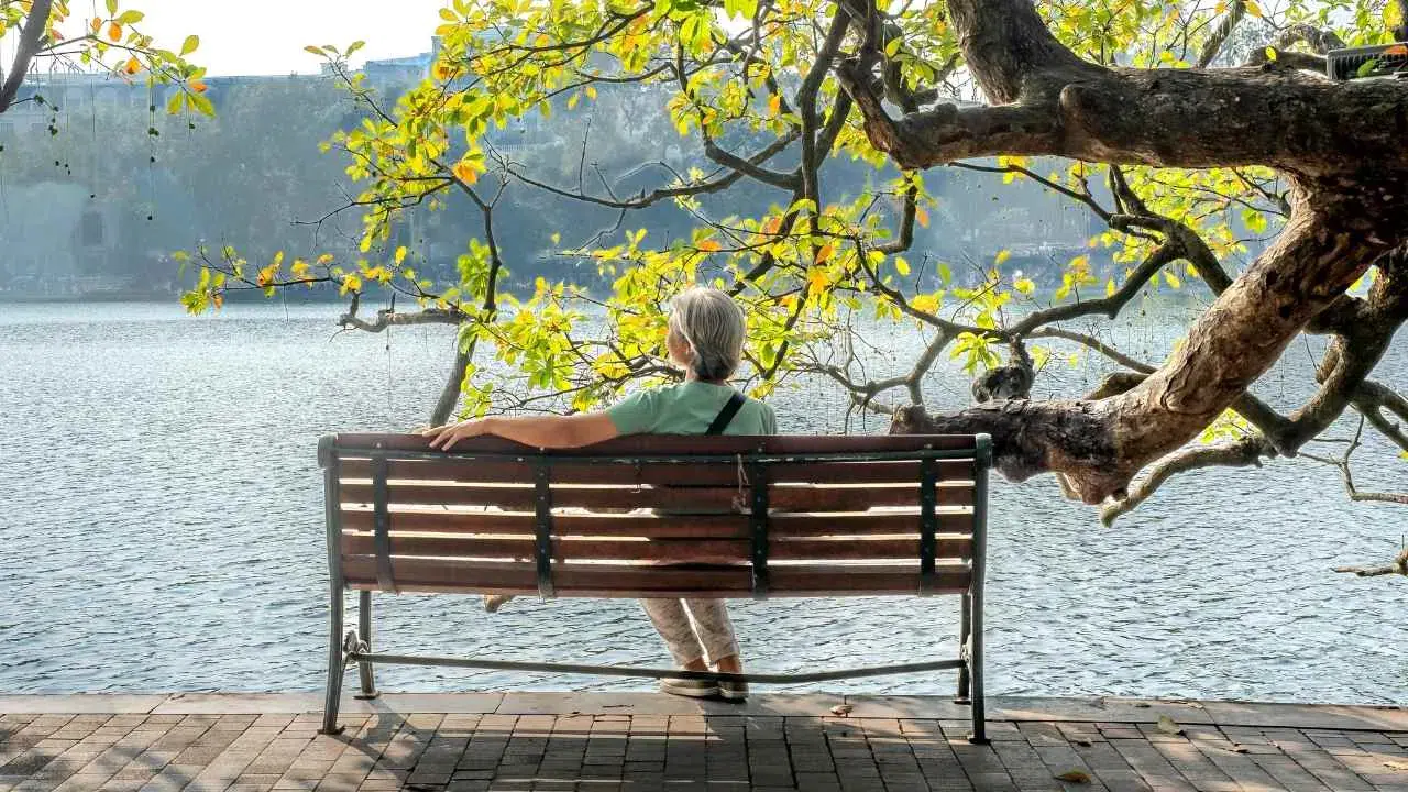 Emeklilerin çoğunluğu ele geçirdiği iller belli oldu! Çalışan sayısını geçtiler