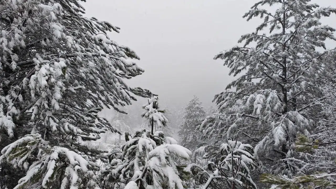 Mart bitmeden Demirci'ye kar sürprizi