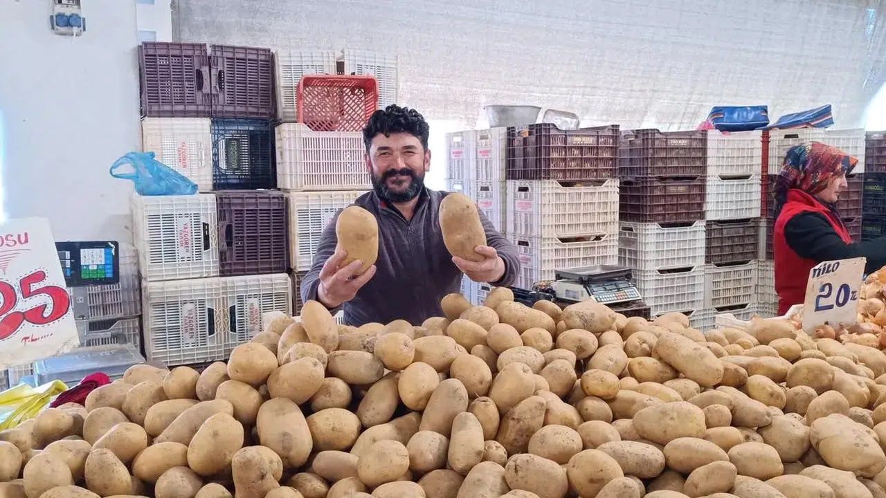 Bu patateslerin bir tanesi 1 kilo geliyor