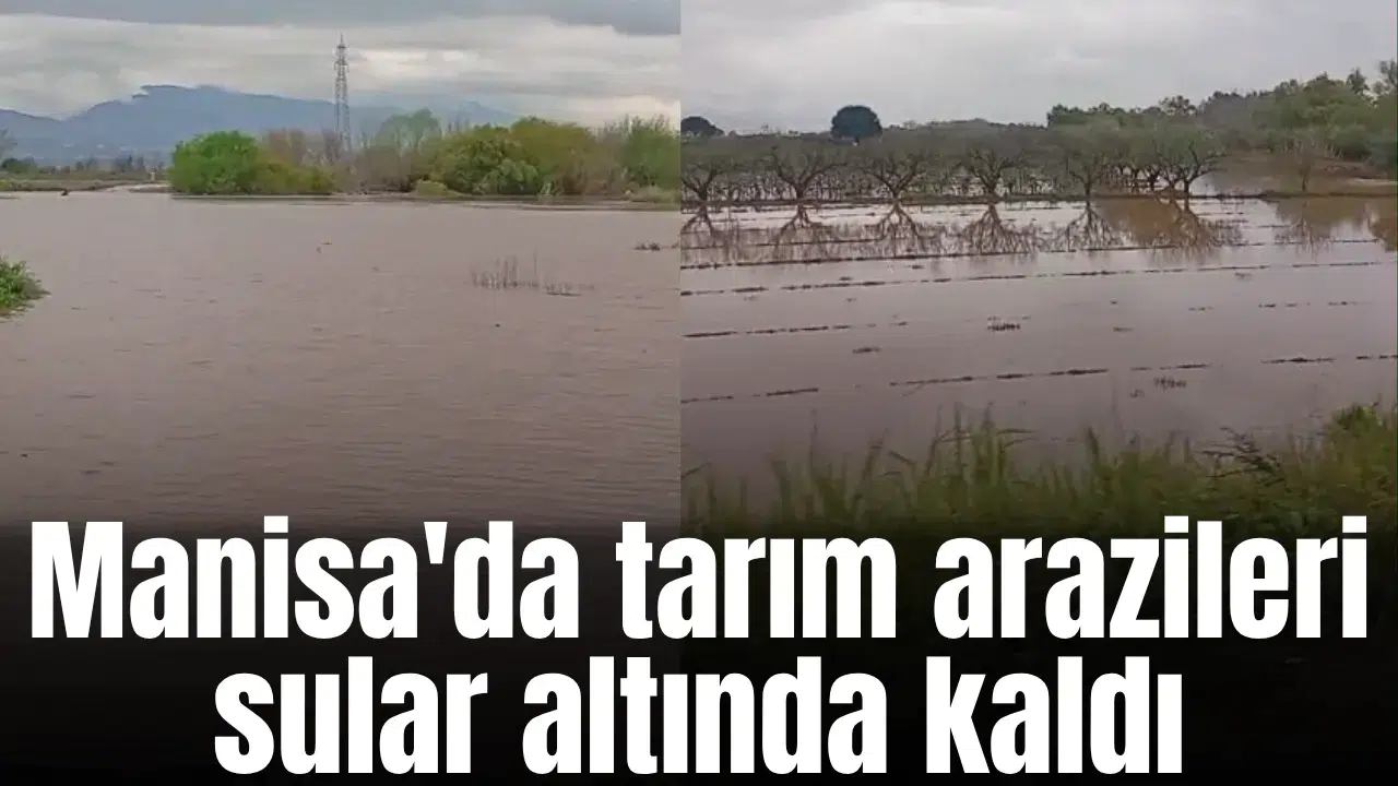 Manisa'da tarım arazileri sular altında kaldı