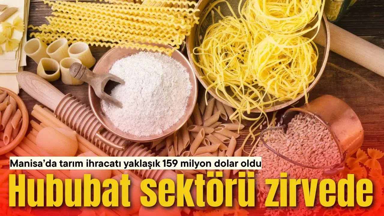 Manisa’da tarım ihracatı yaklaşık 159 milyon dolar oldu