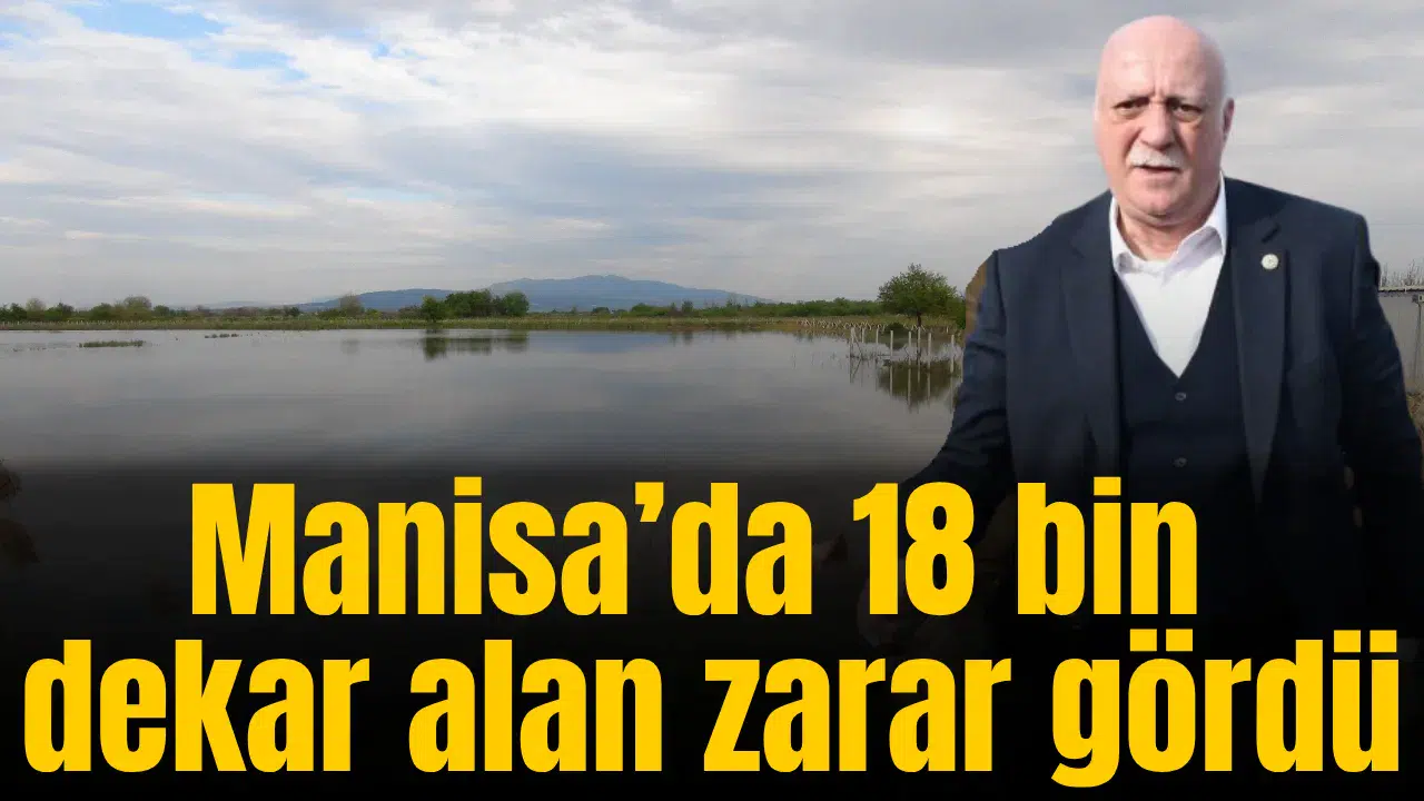 Manisa’da 18 bin dekar alan zarar gördü