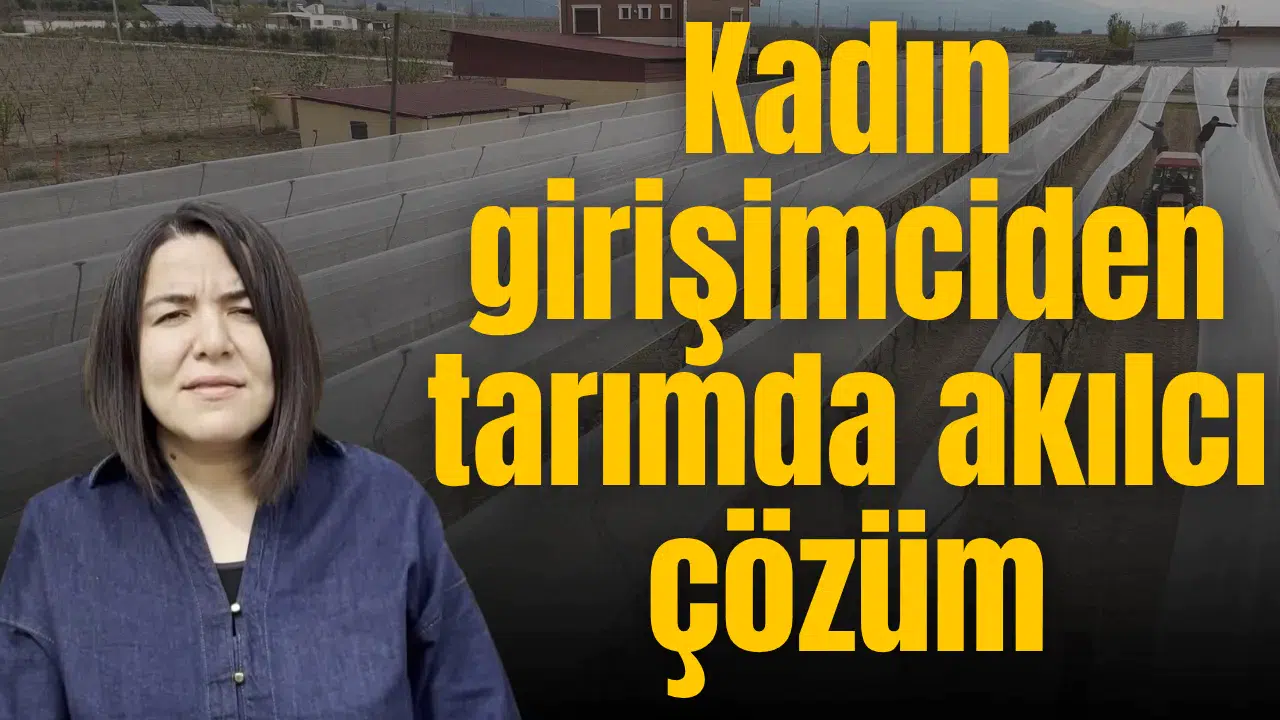 Bağlarda dolu ve güneşe karşı tül kalkan dönemi